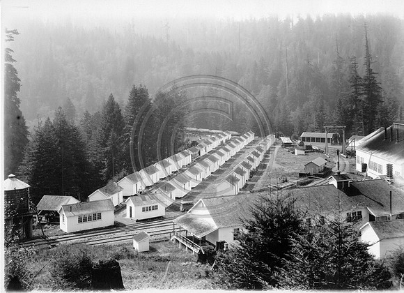 CarsonCamp Late 20s-boyscout2b