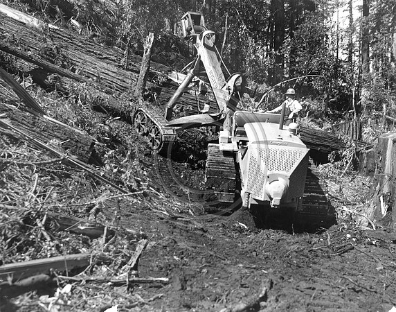 Skidding Logs 1934