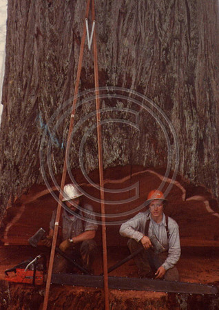 z1970sJoe-Todd1