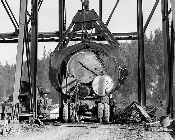 Burger Crane at Pacific Lumber Mill Pond
