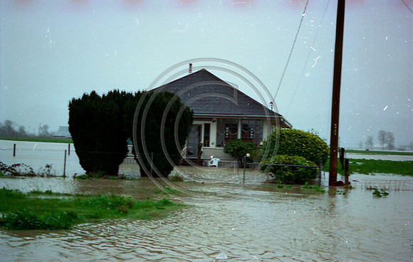 Flooded out in Ferndale