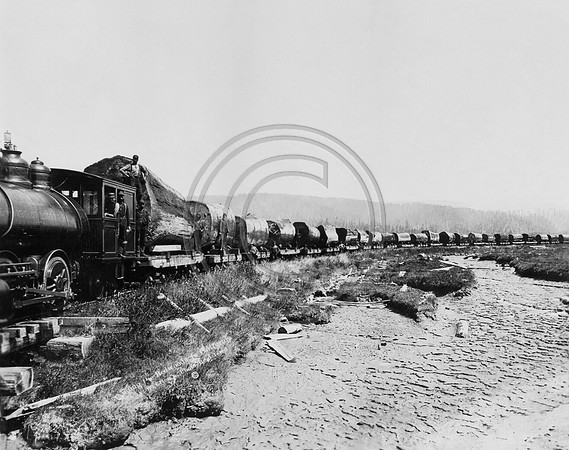 Logging #199 One Log Load from the Excelsior Lumber Co. Along the Arcata Bottoms