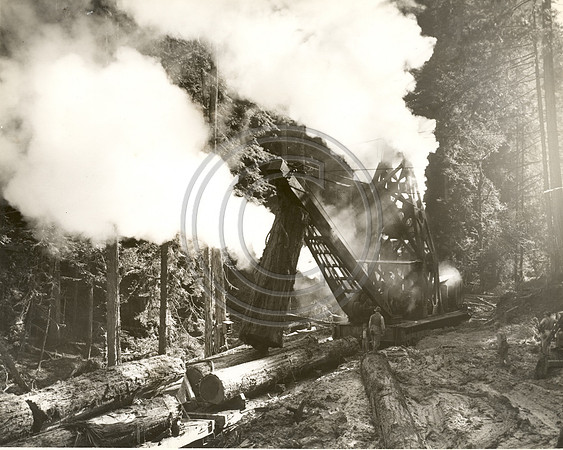 Steam Log Loader