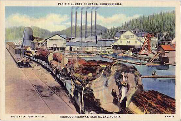 Scotia MillAColor