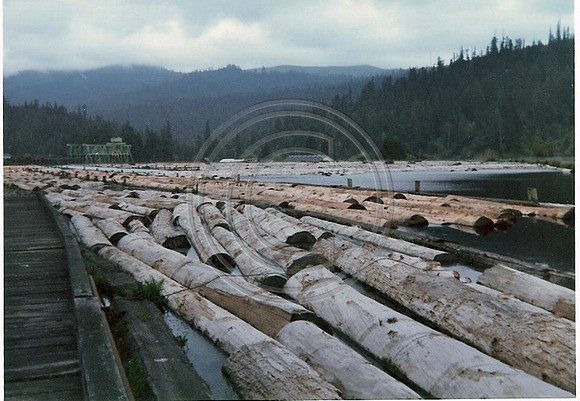 Looking Towards B Mill 1985