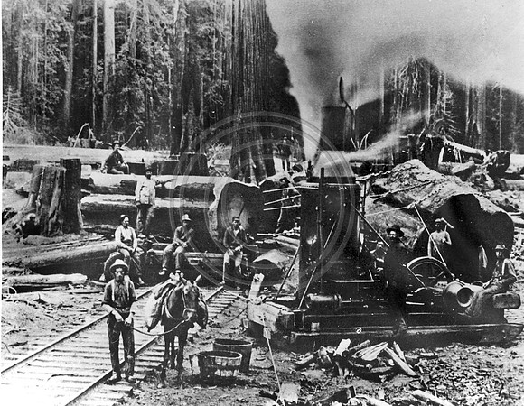 Scotia log crew
