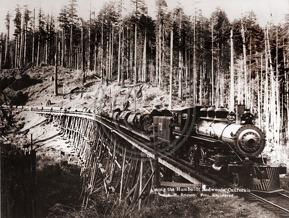 One log load