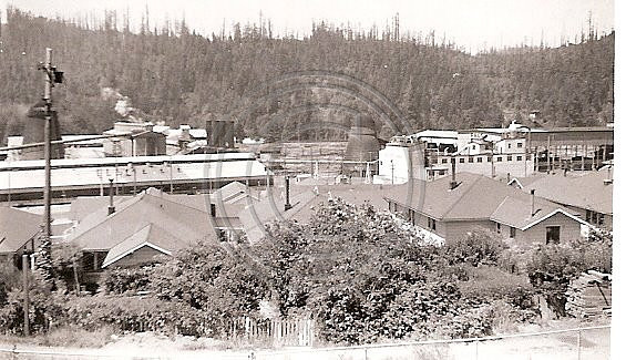 Scotia TeePee Burner 1