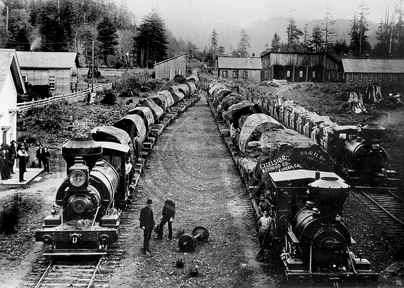 Excelsior Redwood Company Eureka, California
