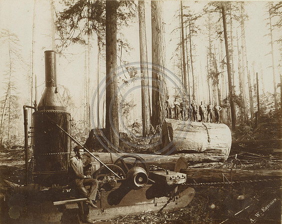 Mill 039
