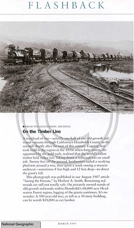 Train NGeo_FW 46