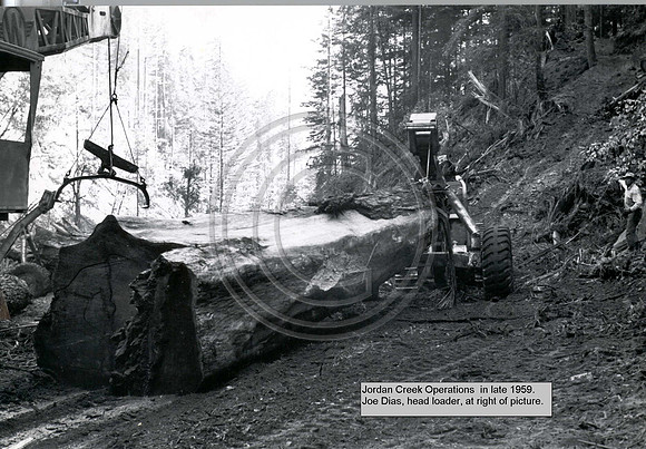 Skidding log to landing 1959 jordan creek pl
