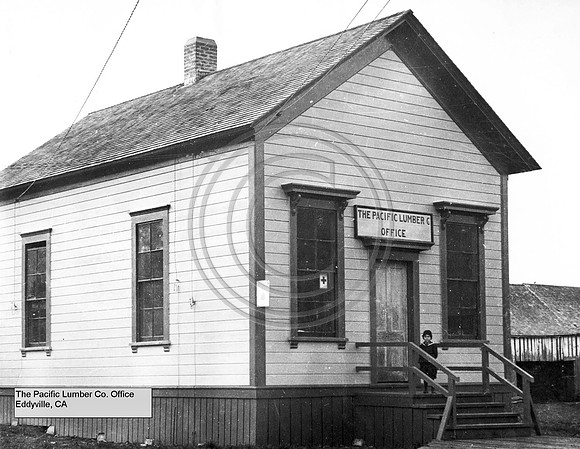 The Pacific Lumber Company Office at Eddyville California