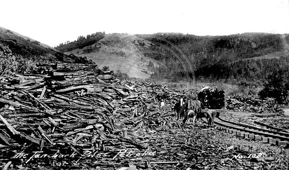 Tan Bark Piles Petrolia, California