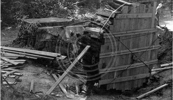 Redwood piece from Jordan creek 1959
