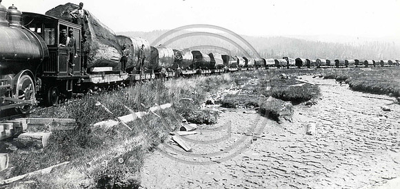one log load along the arcata bottoms