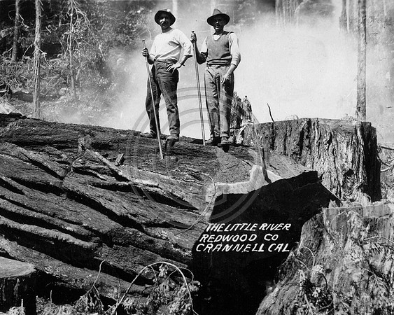 Log Peelers working for Little River Redwood Company Crannell, California
