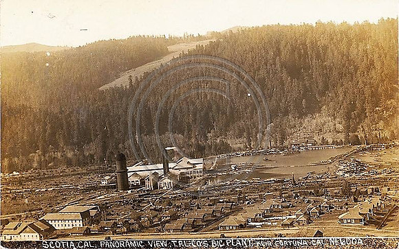 45011803_10210031552265337_4587420342263218176_n