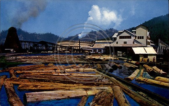 PL log pond