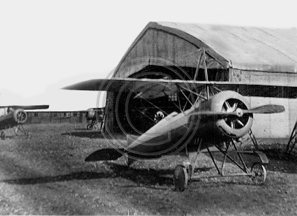 WW One Trainer Camp Kerney California