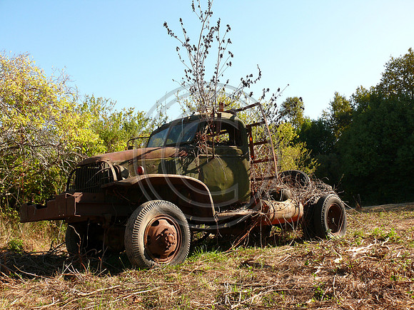 Chevy truck