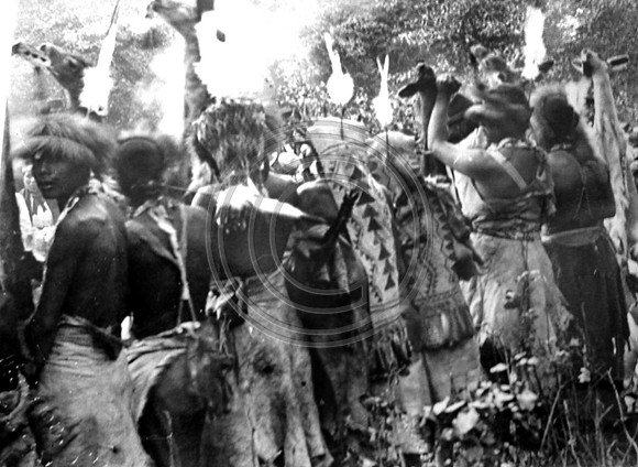Native Americans #002 White Deer Skin Dance