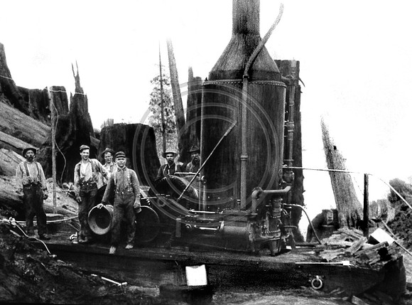Steam Donkey Camp at Scotia 1905 copy
