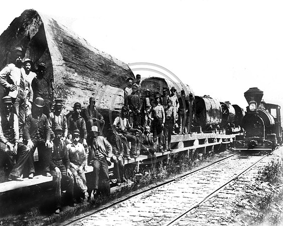 1 log load with loggers