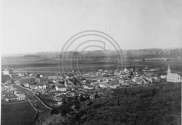 Ferndale c.1800's #001