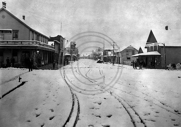 Snow in Ferndale