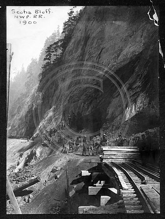 scotia bluffs