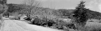 DYERVILLE - 1929t