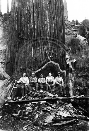 Loggers posing in a undercut copy