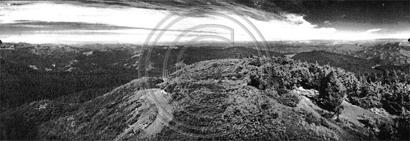 Grasshopper pano