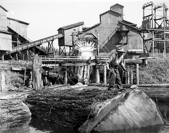 Pacific Lumber Log Pond