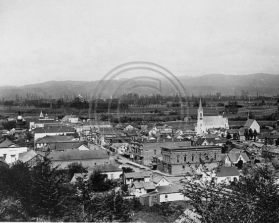 Ferndale c.1800's #007