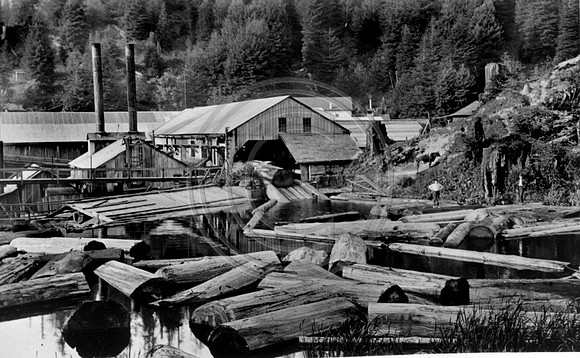 Log pond at Falk