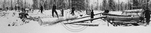 Skidding-logs-in-the-snow