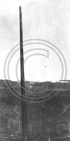 1934 freshwater operations tree topper Paul Humphries