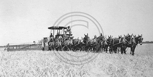 Working the wheat Fields