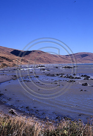 Lost Coast tide pools