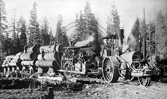 Hauling Pine Trees into Shingletown, California