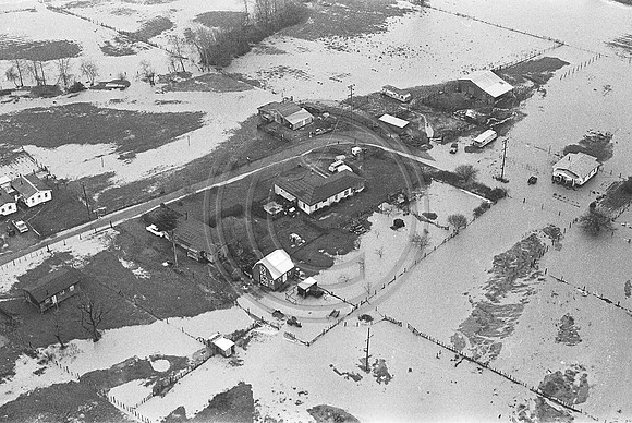 1964 Flood Ferndale Bottoms #2