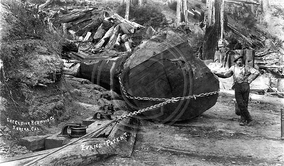 Landing site for Excelsior Redwood Company