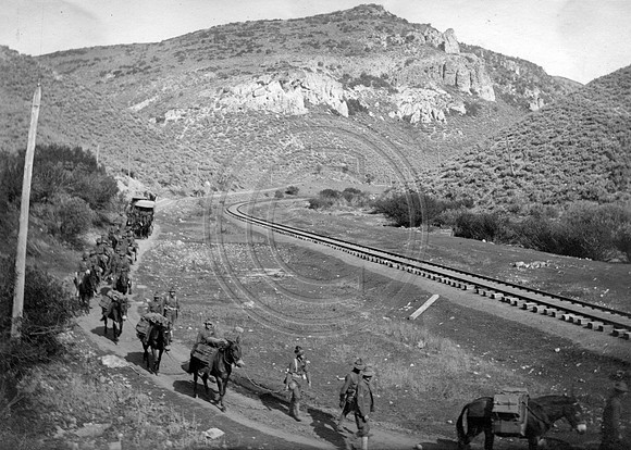 Pack Train 20 th Infintry
