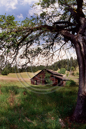 Look Prairie Barn #1