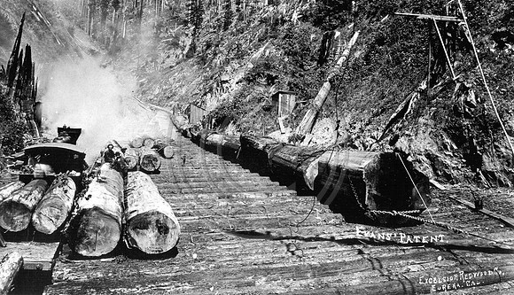log site for excelsior redwood company