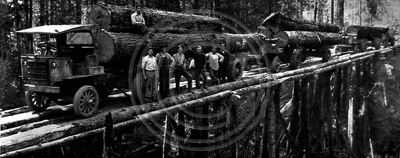 Garford Log truck loaded with Trees