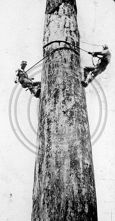 Loggers E.K. and John Bosic
