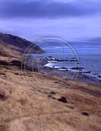 Lost Coast